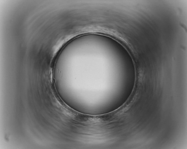 X0000101191509200807071302