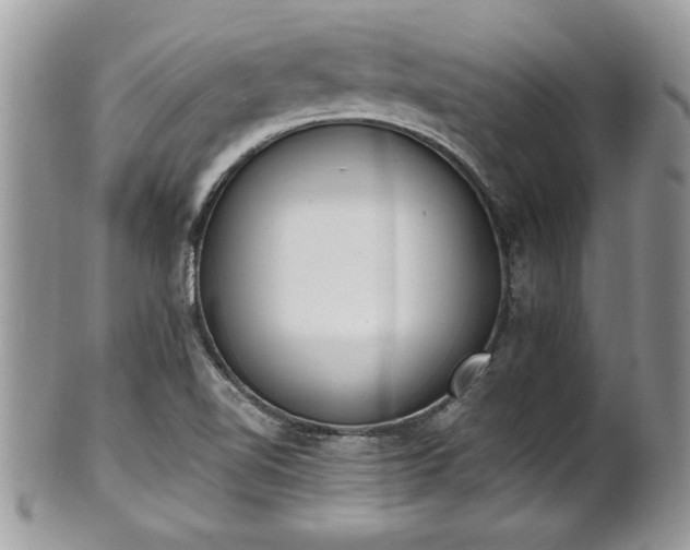 X0000101191510200807071302