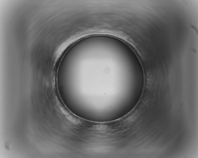 X0000101191511200807071302