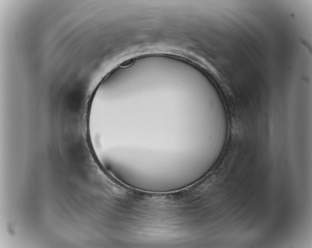 X0000101191512200807071302