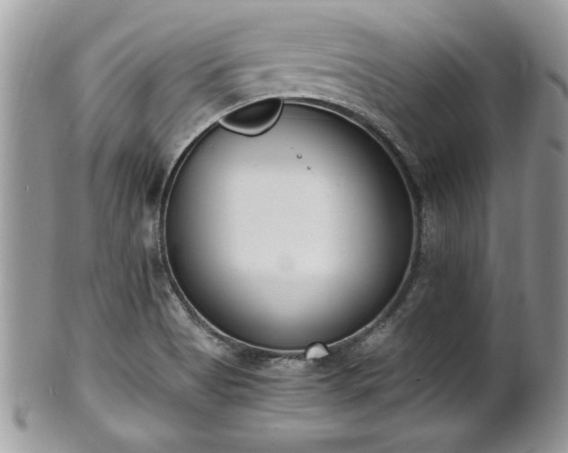 X0000101191513200807071302