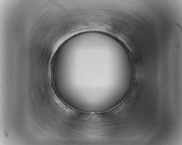 X0000101191516200807071302