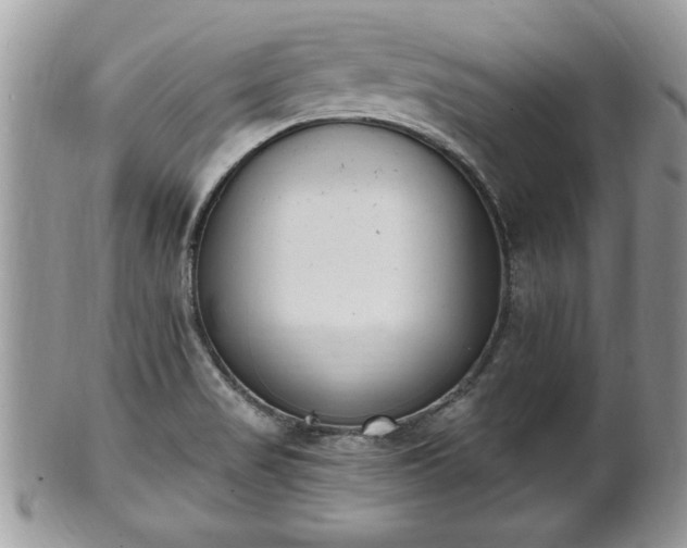 X0000101191517200807071302