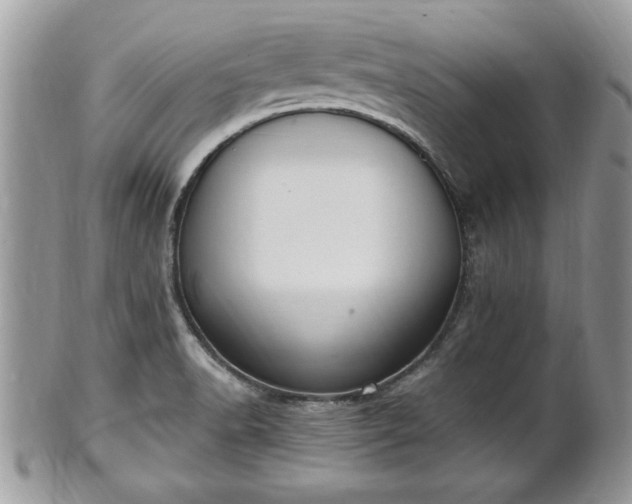 X0000101191518200807071302
