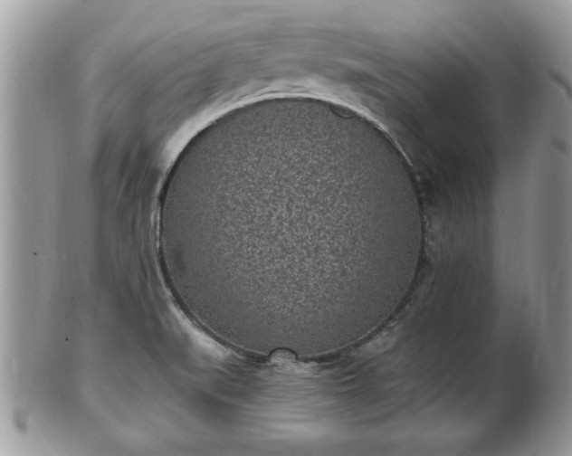 X0000101191519200807071302