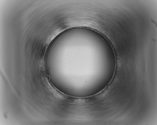 X0000101191521200807071302