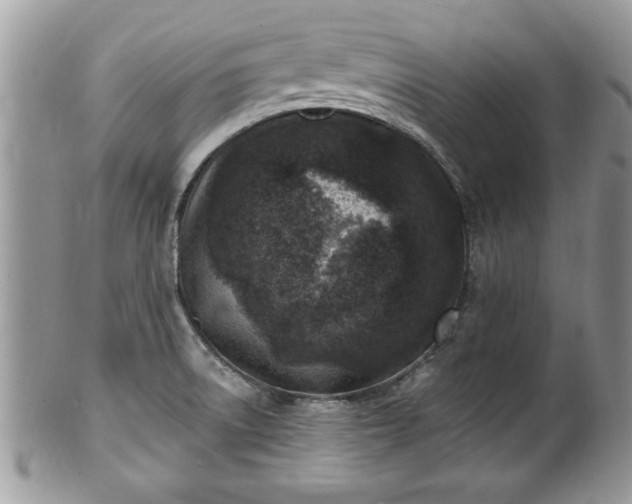 X0000101191522200807071302
