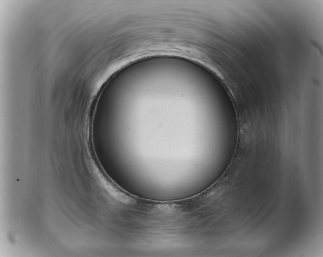 X0000101191523200807071302