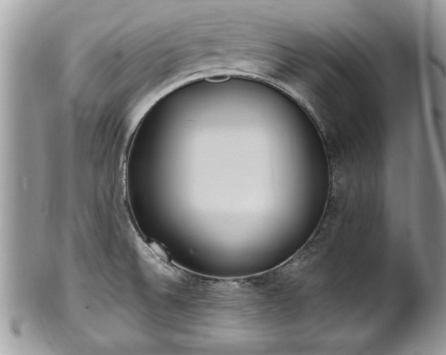 X0000101191524200807071302