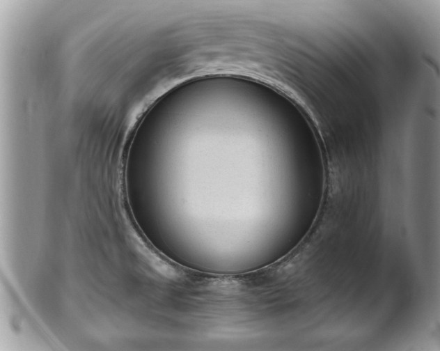 X0000101191525200807071302