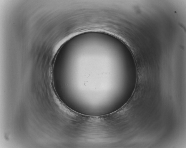 X0000101191526200807071302