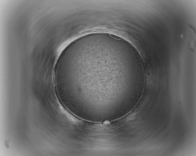 X0000101191527200807071302