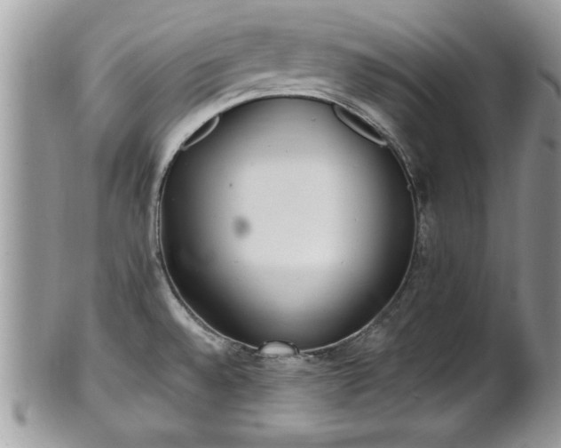 X0000101191528200807071302