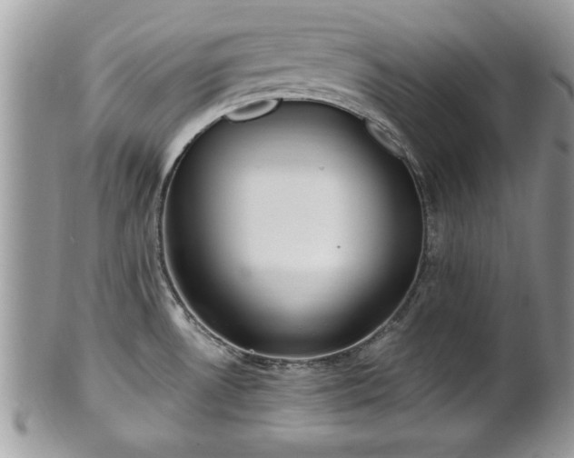 X0000101191530200807071302