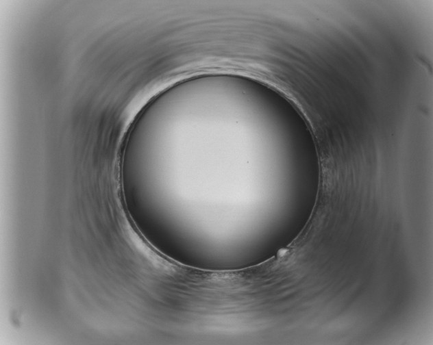 X0000101191531200807071302