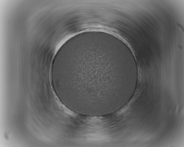 X0000101191533200807071302