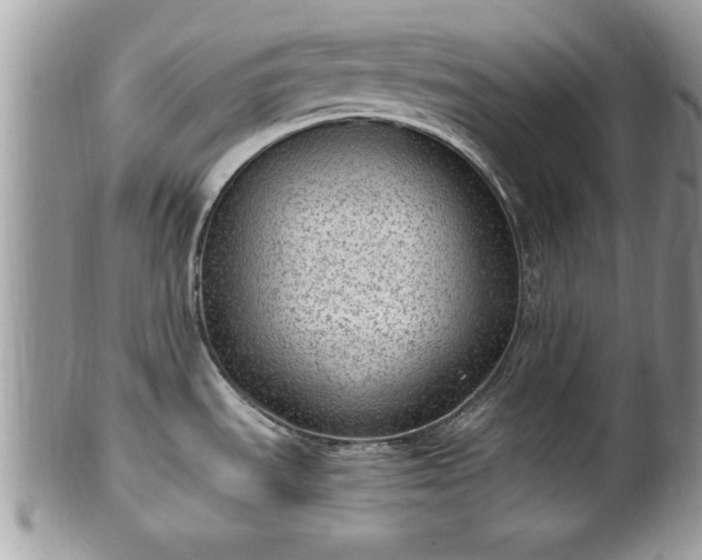 X0000101191535200807071302