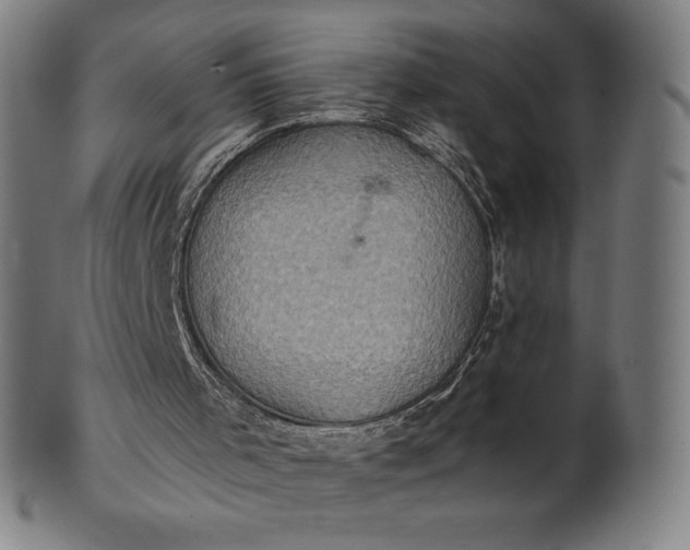 X0000101190001200807110956