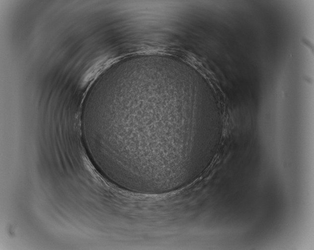 X0000101190002200807110956