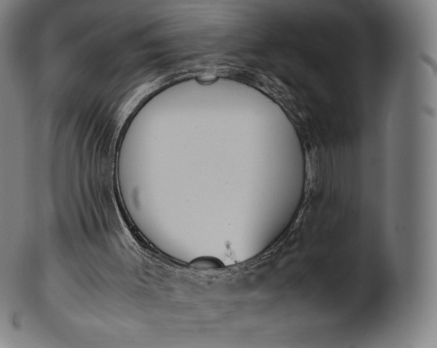 X0000101190003200807110956