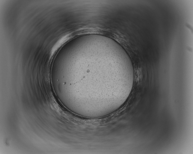 X0000101190004200807110956