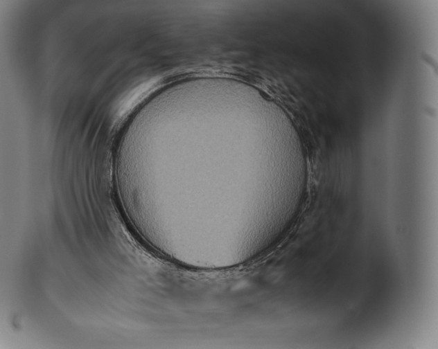 X0000101190005200807110956