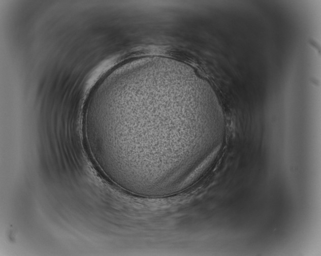 X0000101190006200807110956