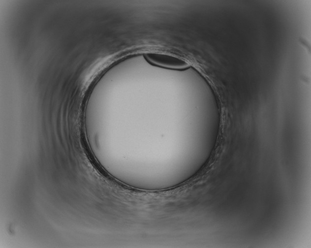 X0000101190007200807110956