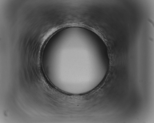 X0000101190008200807110956