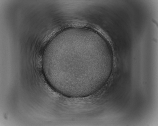 X0000101190009200807110956