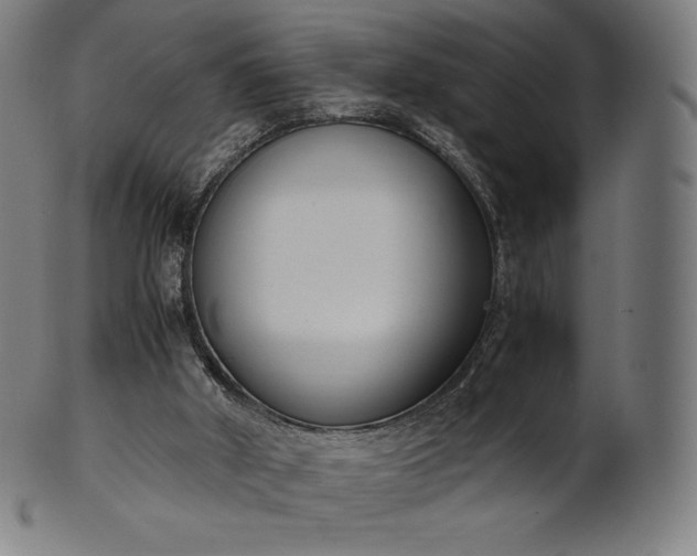 X0000101190010200807110956