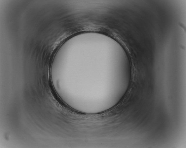 X0000101190011200807110956