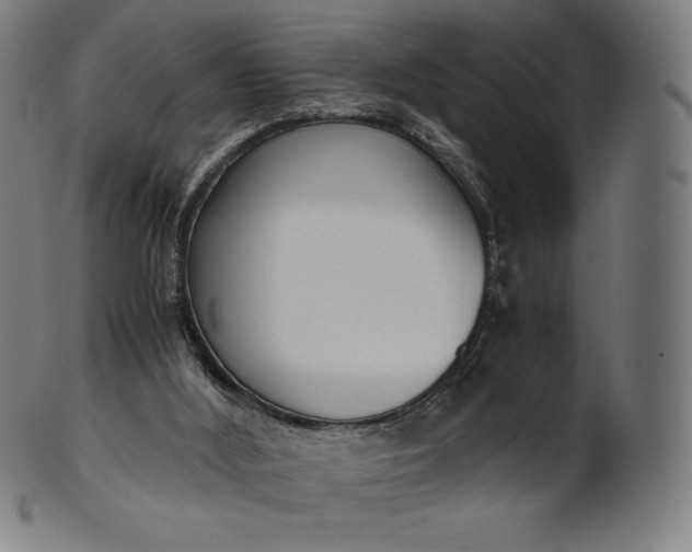 X0000101190012200807110956