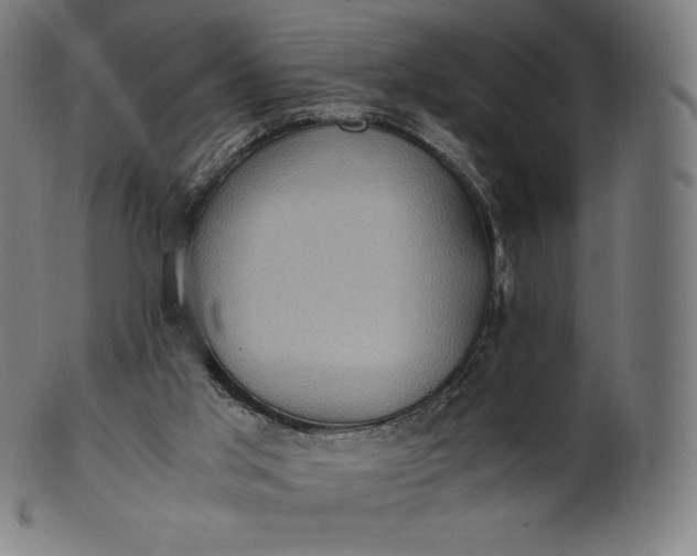 X0000101190013200807110956