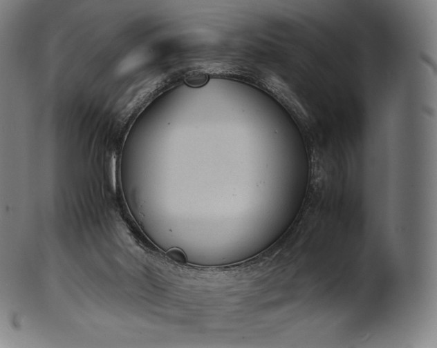 X0000101190014200807110956