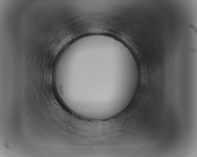 X0000101190015200807110956