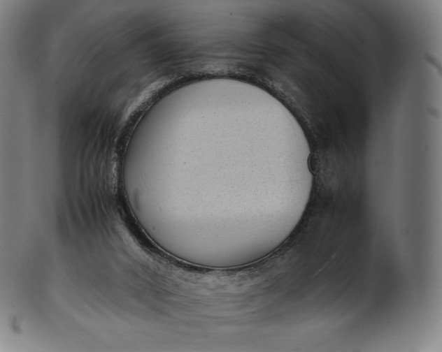 X0000101190016200807110956