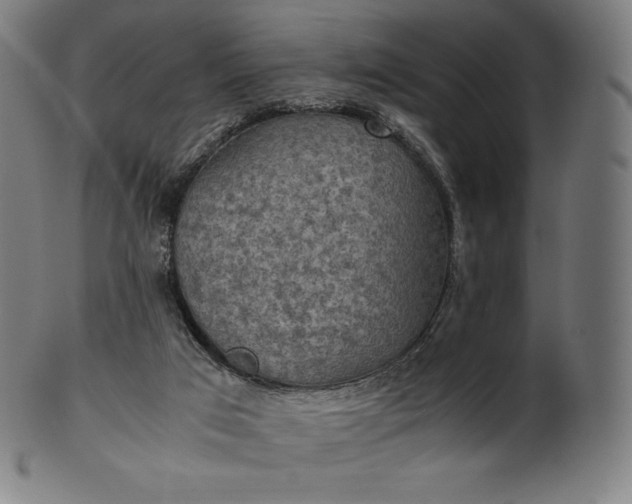 X0000101190017200807110956