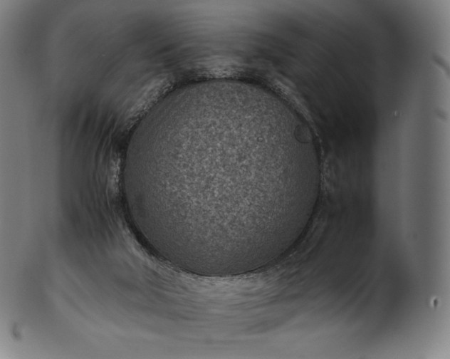 X0000101190018200807110955