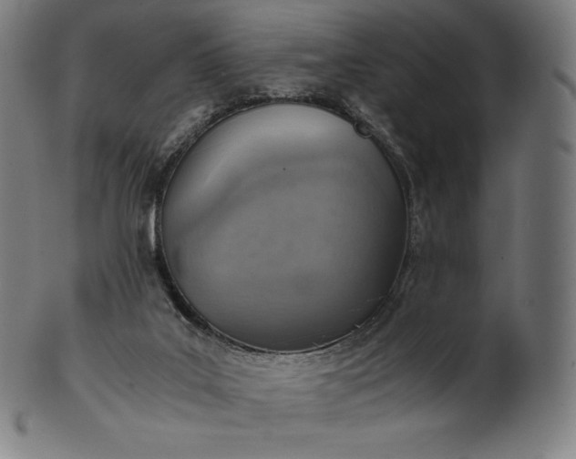 X0000101190019200807110955