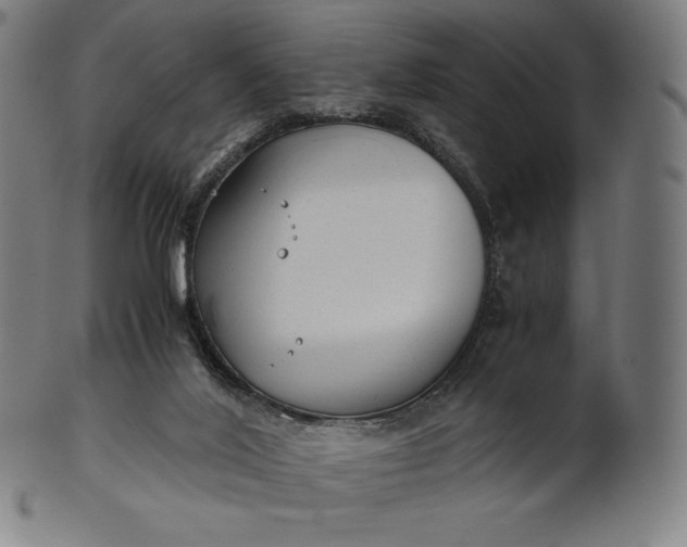 X0000101190020200807110955