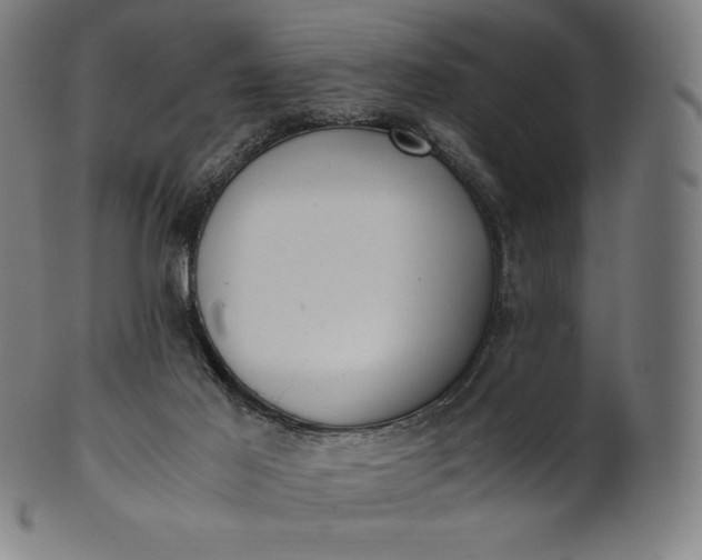 X0000101190021200807110955