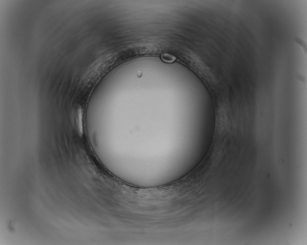 X0000101190022200807110955