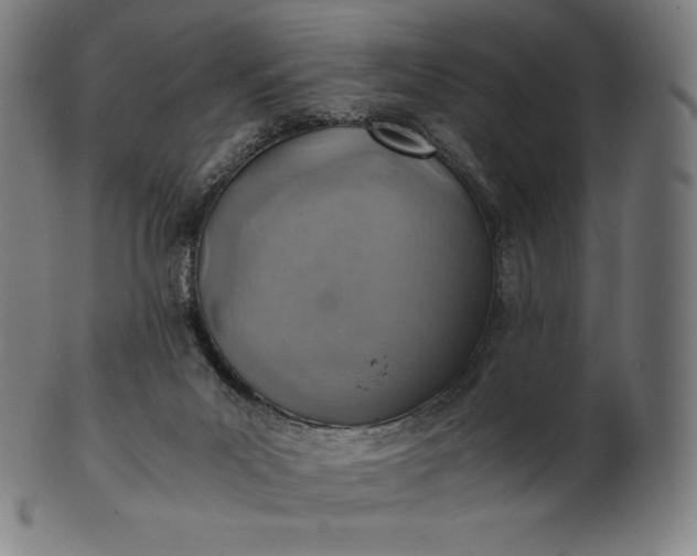 X0000101190023200807110955