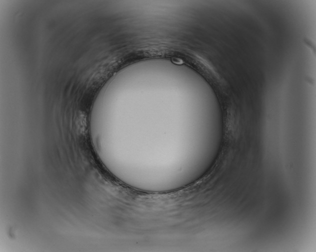 X0000101190025200807110955