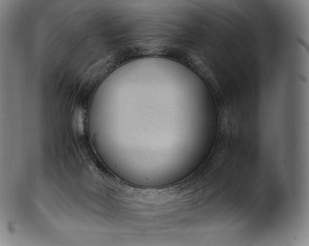 X0000101190026200807110955