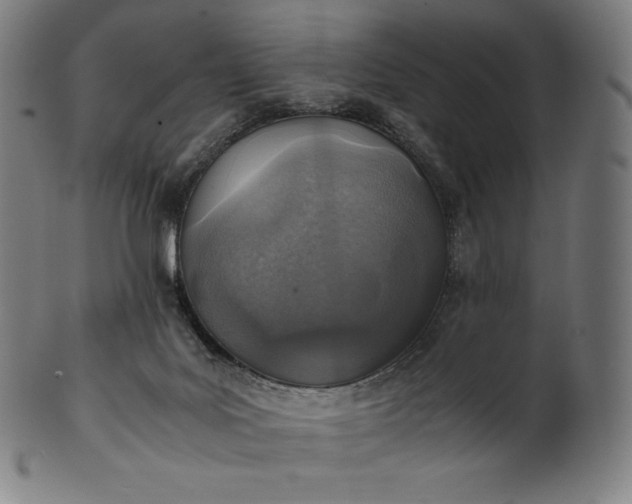 X0000101190027200807110955