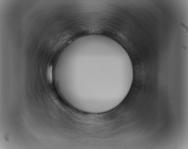 X0000101190028200807110955