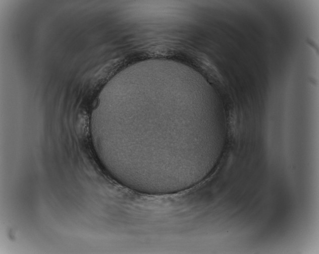 X0000101190029200807110955