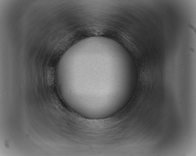 X0000101190030200807110955